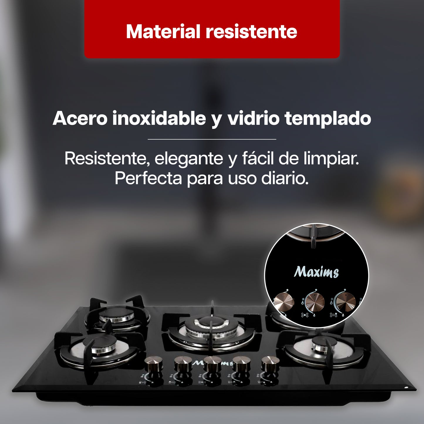 Combo Parrilla a Gas 5 Quemadores Vidrio Negro + Campana Extractora 80 cm