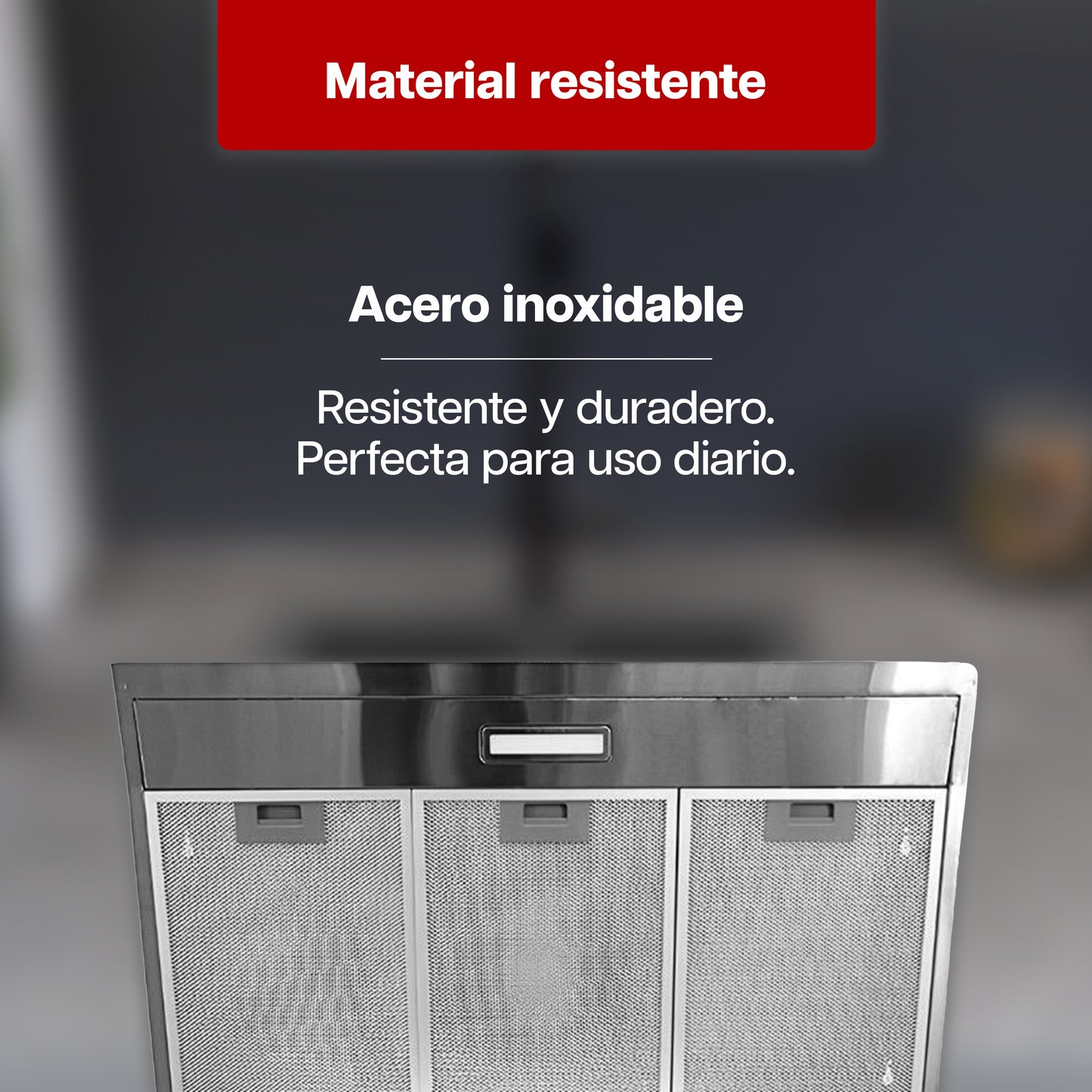 Campana Extractora Maxims 80 cm de Acero Inoxidable