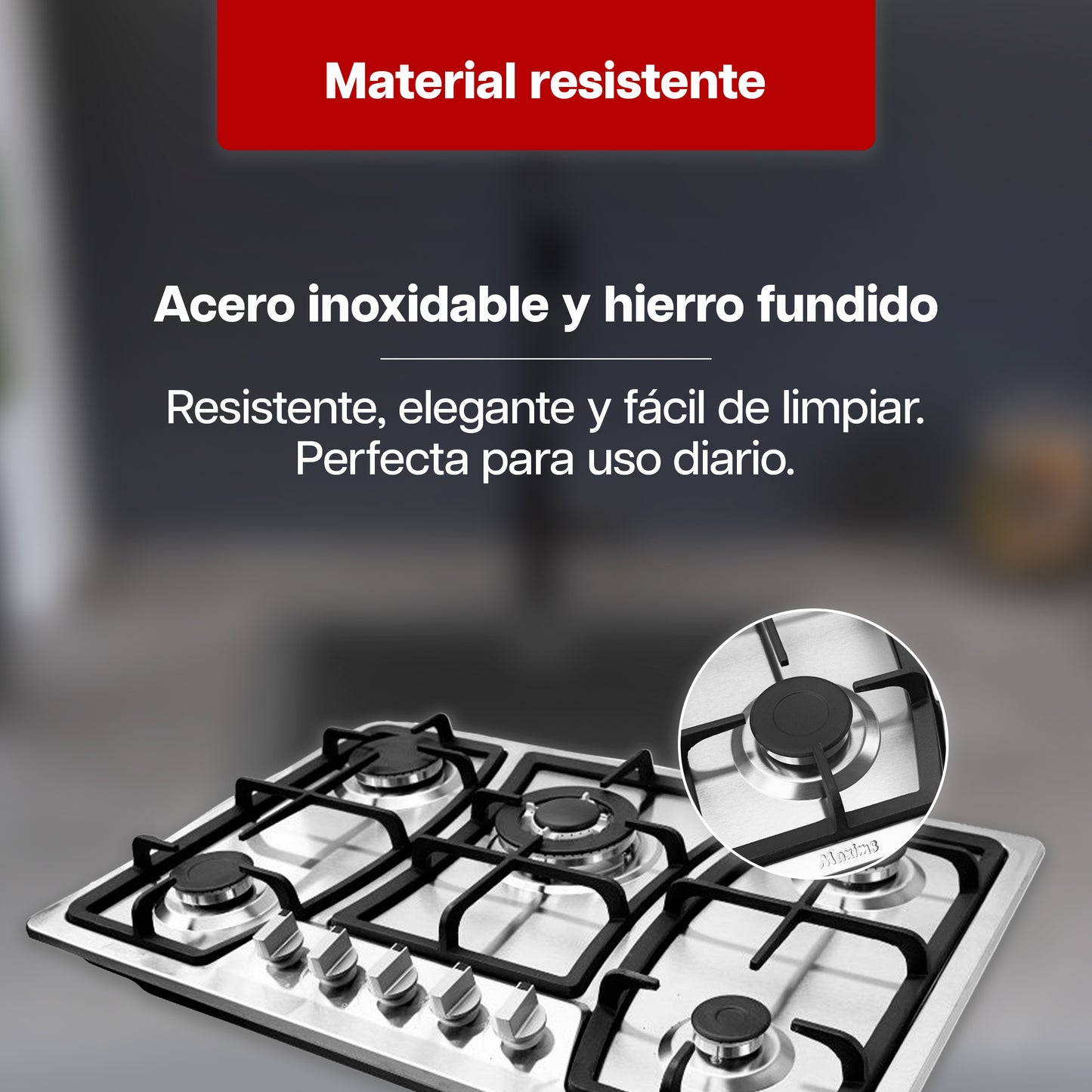 Combo Premium de Parrilla a Gas 5 Quemadores + Campana 80 cm de Acero Inoxidable