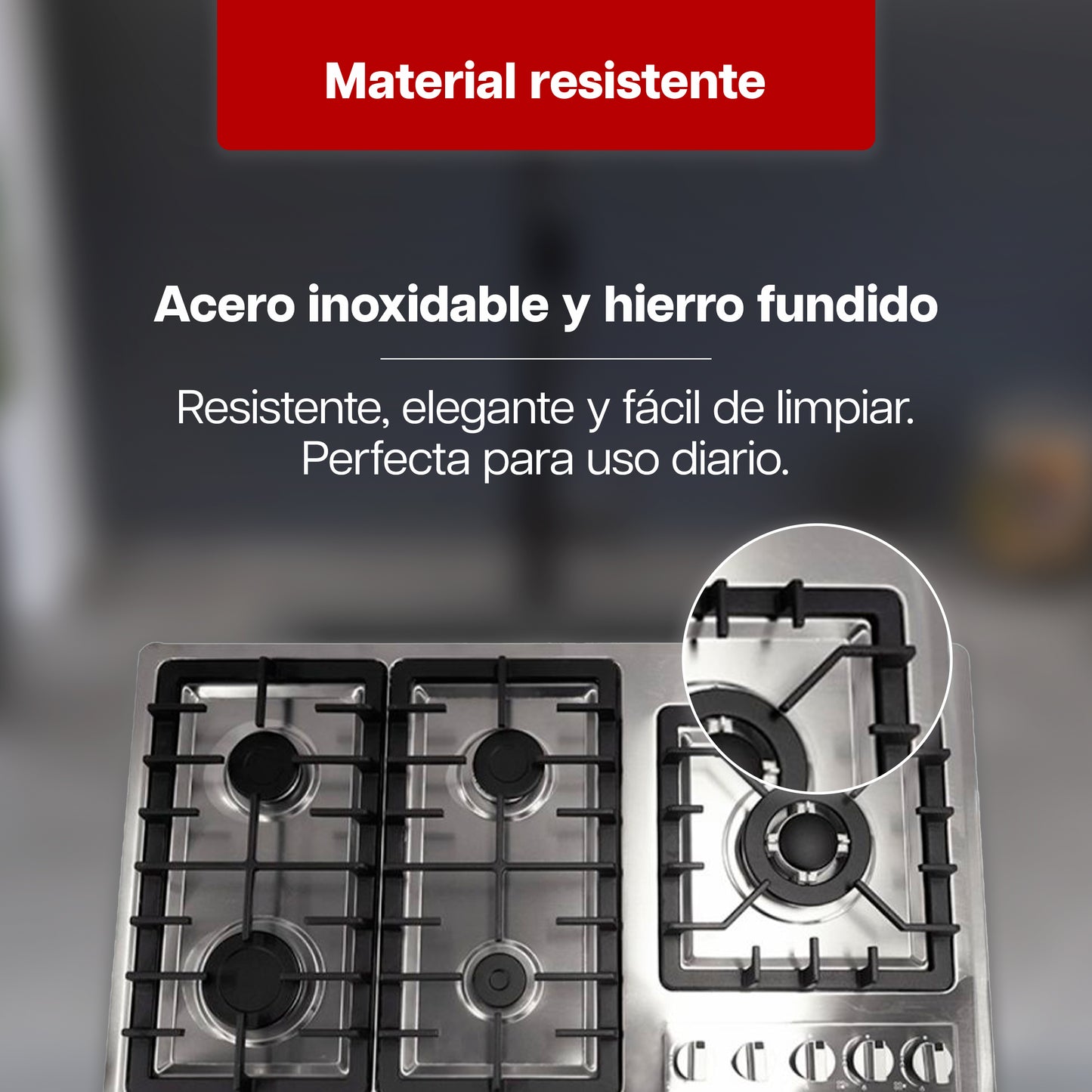 Parrilla a Gas 68 x 51 cm Maxims de 5 Quemadores Acero Inoxidable 120V