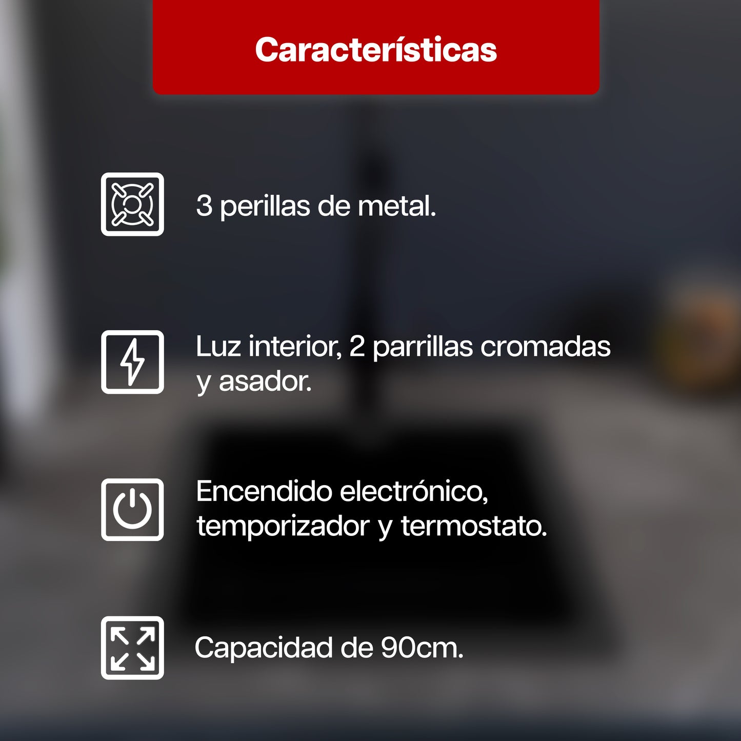 Horno Empotrable a Gas en Acero Inoxidable Clásico