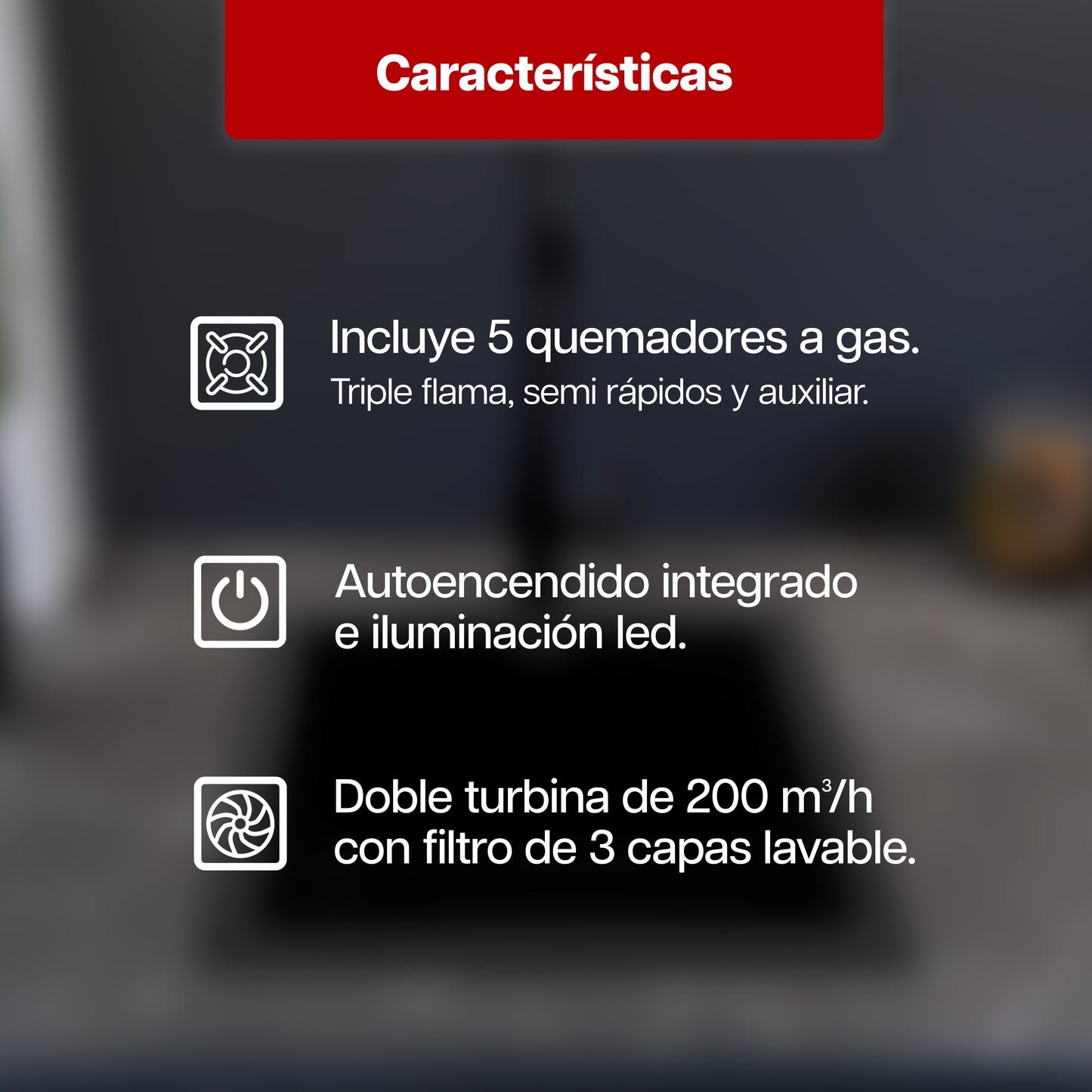 Combo Premium de Parrilla a Gas 5 Quemadores + Campana 80 cm de Acero Inoxidable