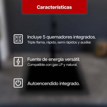 Parrilla a Gas 68 x 51 cm Maxims de 5 Quemadores Acero Inoxidable 120V