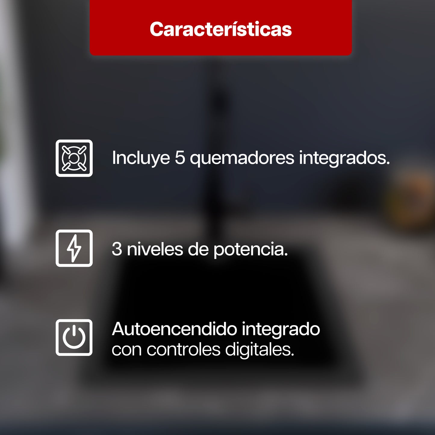 Parrilla Eléctrica 77 x 51 cm de 5 Quemadores Cristal Negro 120V