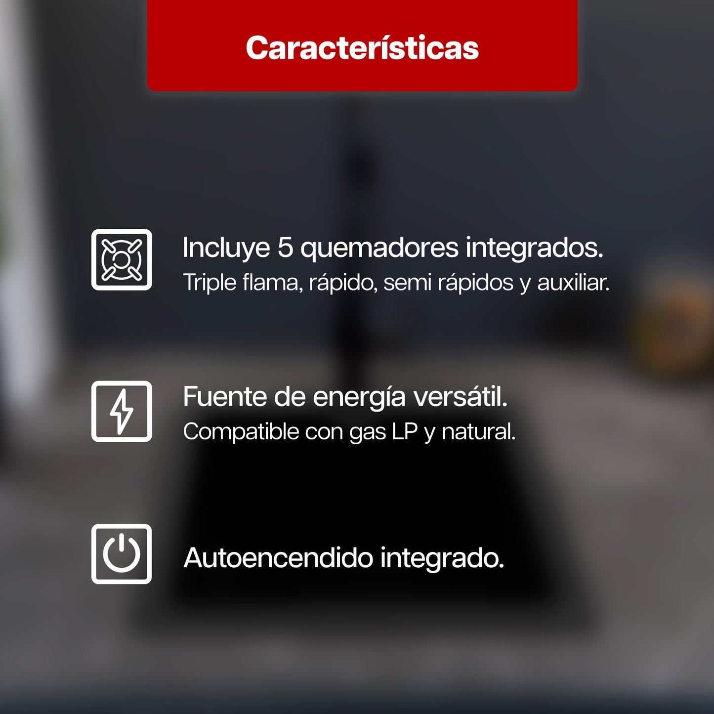 Parrilla Maxims 86 x 51 cm a Gas de Acero Inoxidable 5 Quemadores LP 120V