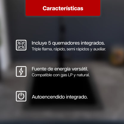 Parrilla Maxims 86 x 51 cm a Gas de Acero Inoxidable 5 Quemadores LP 120V