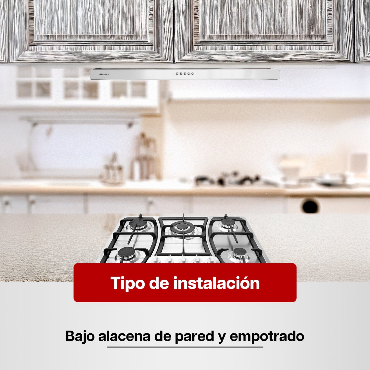 Combo Premium de Parrilla a Gas 5 Quemadores + Campana 80 cm de Acero Inoxidable