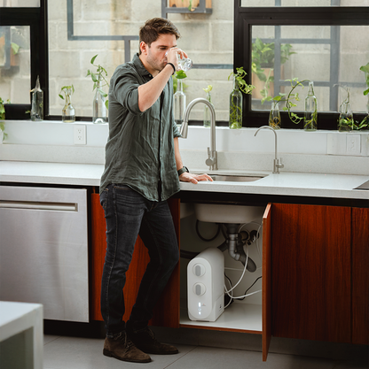 Purificador De Agua Welken 100G Sistema de Ósmosis Inversa para uso residencial